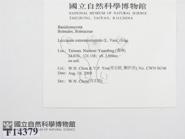 登錄號:F0014379藏品圖，第3張