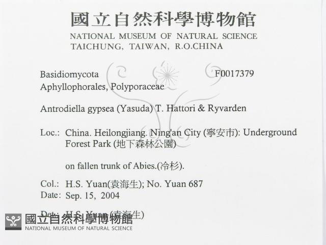 登錄號:F0017379藏品圖，第3張