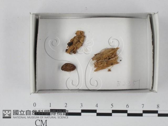 登錄號:F0018263藏品圖，第1張