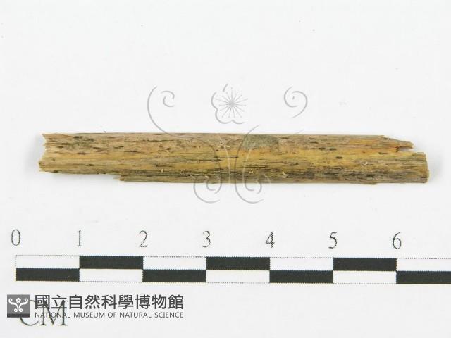 登錄號:F0012263藏品圖，第1張