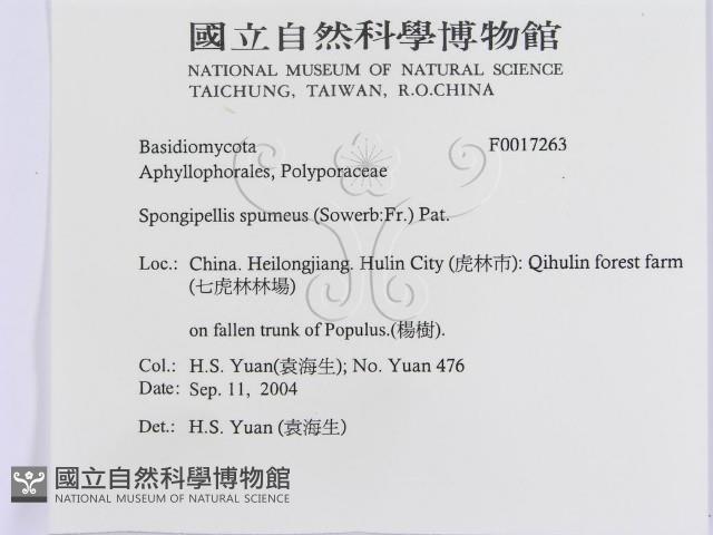 登錄號:F0017263藏品圖，第3張