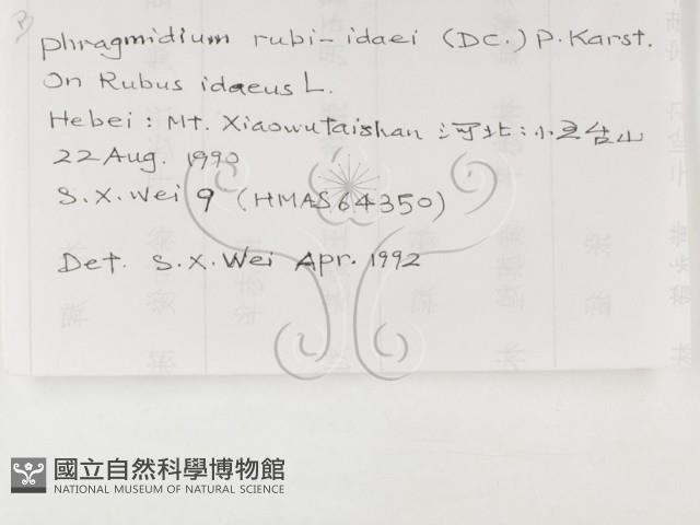 登錄號:F0019263藏品圖，第3張