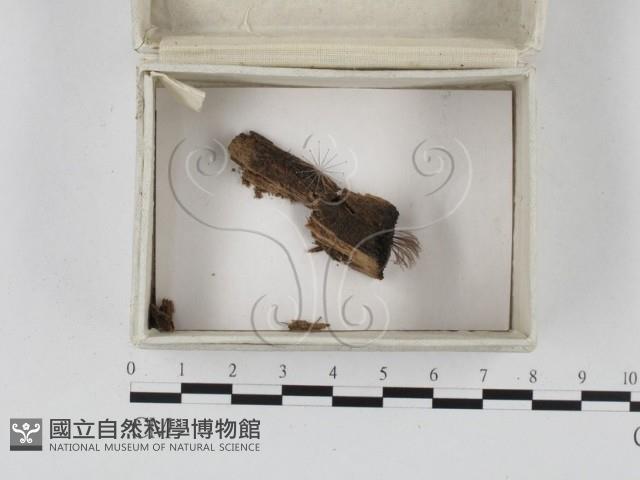 登錄號:F0023263藏品圖，第1張