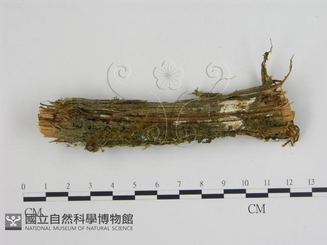 Accession Number:F0008863 Collection Image, Figure 1, Total 2 Figures