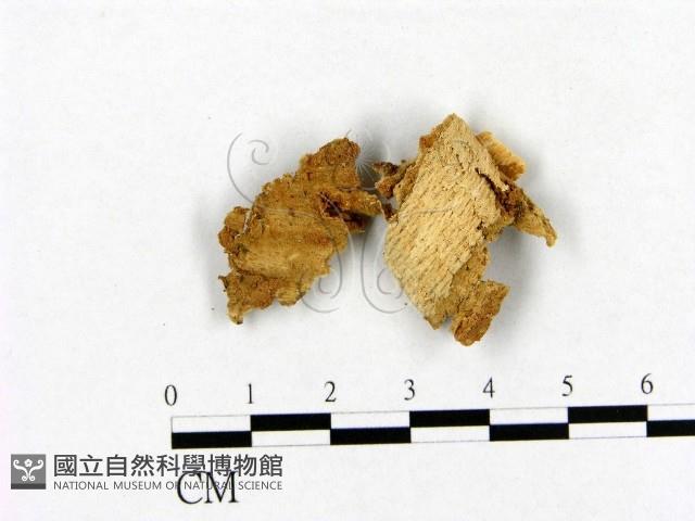 登錄號:F0020863藏品圖，第1張