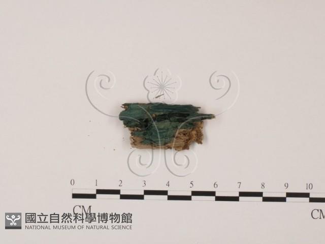 登錄號:F0012863藏品圖，第1張
