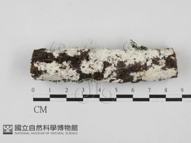 登錄號:F0027863藏品圖，第1張