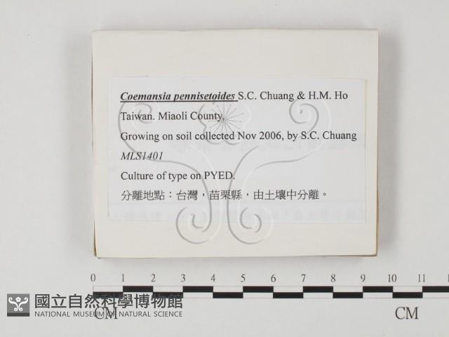 登錄號:F0025863藏品圖，第1張