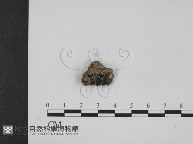 登錄號:F0008963藏品圖，第1張