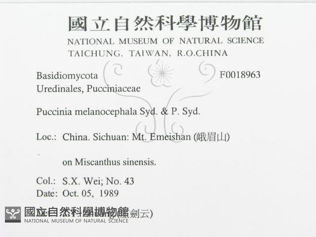 登錄號:F0018963藏品圖，第3張