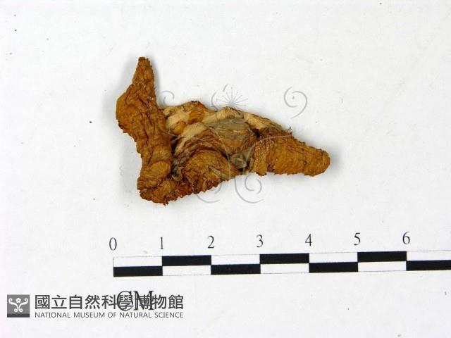 登錄號:F0022963藏品圖，第1張