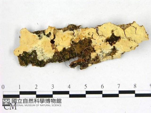 登錄號:F0022663藏品圖，第1張