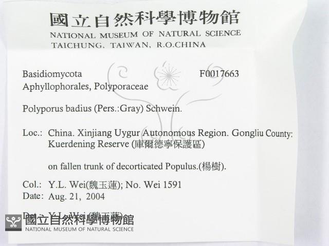 登錄號:F0017663藏品圖，第3張