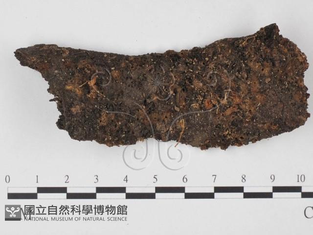 登錄號:F0025663藏品圖，第1張