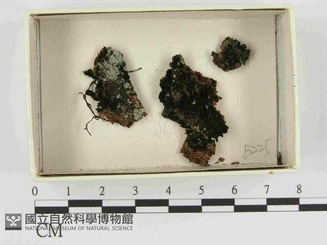 登錄號:F0021463藏品圖，第1張