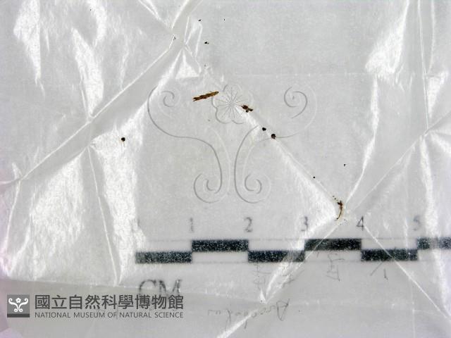 登錄號:F0004463藏品圖，第1張