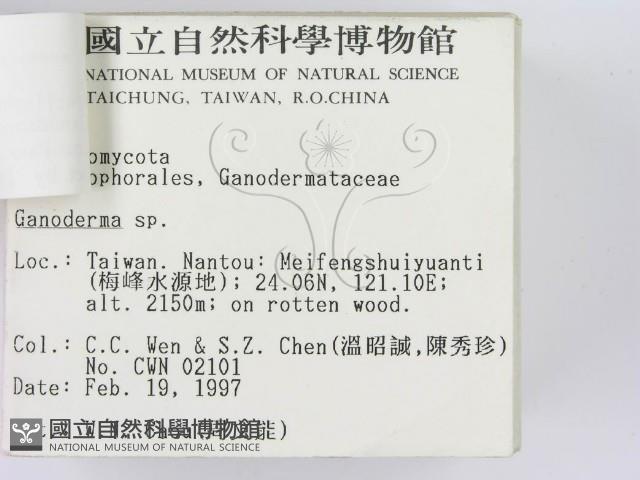 登錄號:F0007463藏品圖，第3張