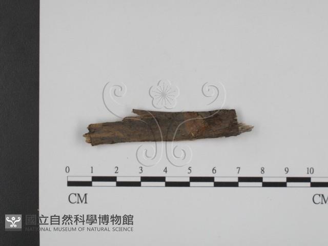 登錄號:F0016763藏品圖，第1張