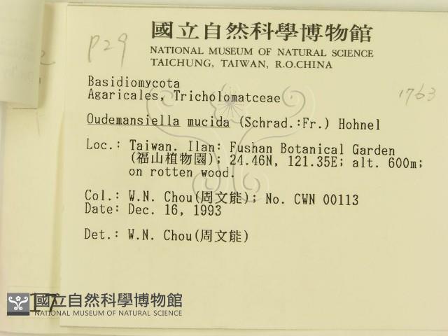 登錄號:F0001763藏品圖，第3張
