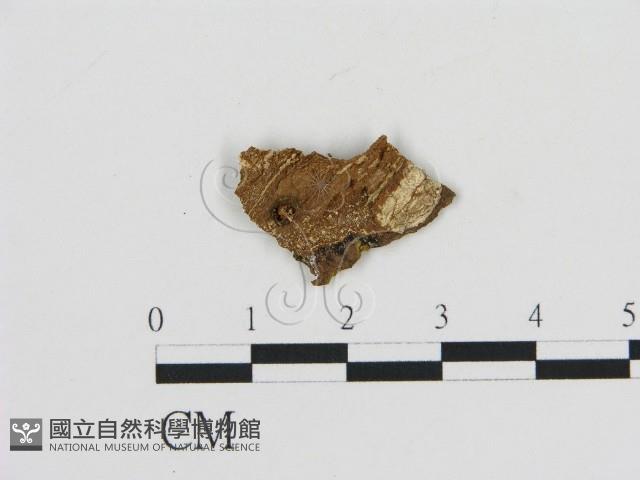 登錄號:F0009763藏品圖，第1張