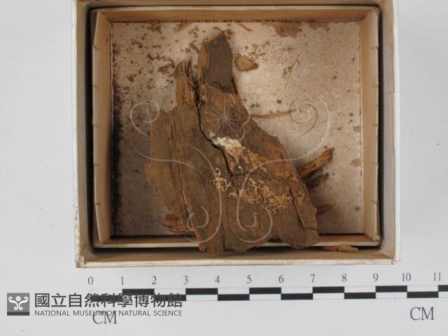登錄號:F0018563藏品圖，第1張