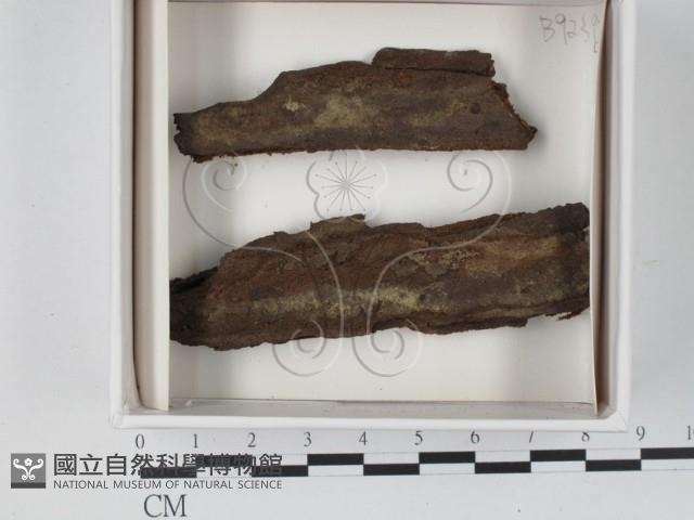 登錄號:F0020563藏品圖，第1張