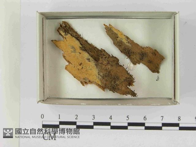 登錄號:F0021563藏品圖，第1張