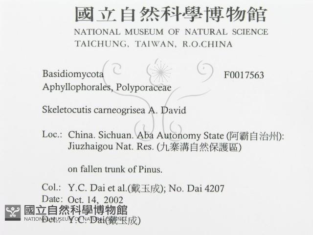 登錄號:F0017563藏品圖，第3張
