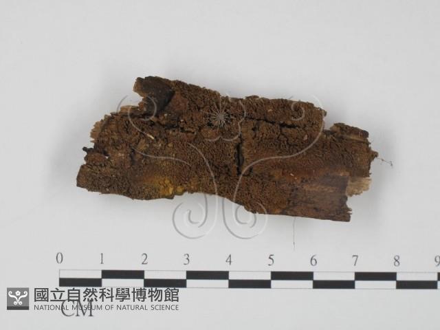 登錄號:F0008163藏品圖，第1張