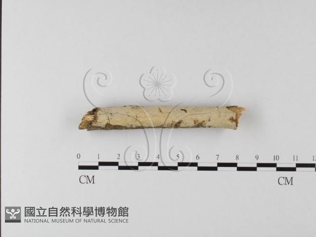 登錄號:F0020163藏品圖，第1張