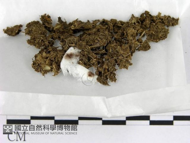登錄號:F0000163藏品圖，第1張