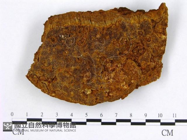 登錄號:F0006163藏品圖，第1張