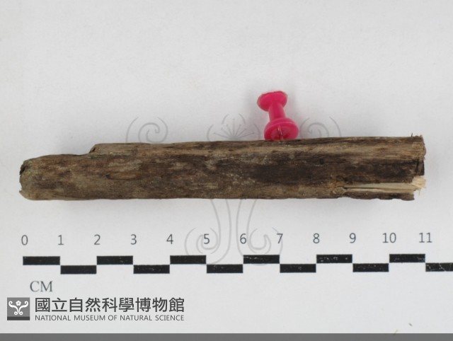 登錄號:F0034163藏品圖，第1張