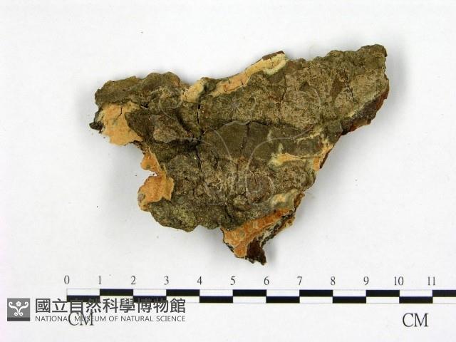 登錄號:F0022163藏品圖，第1張