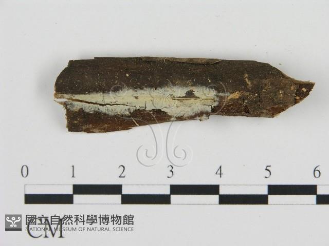 登錄號:F0009163藏品圖，第1張