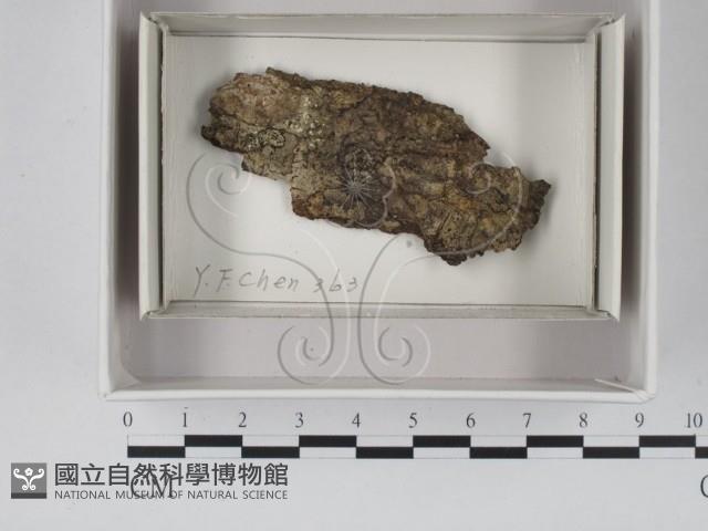 登錄號:F0018063藏品圖，第1張