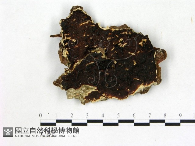 登錄號:F0014063藏品圖，第1張