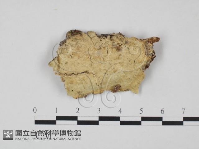 Accession Number:F0022063 Collection Image, Figure 1, Total 2 Figures