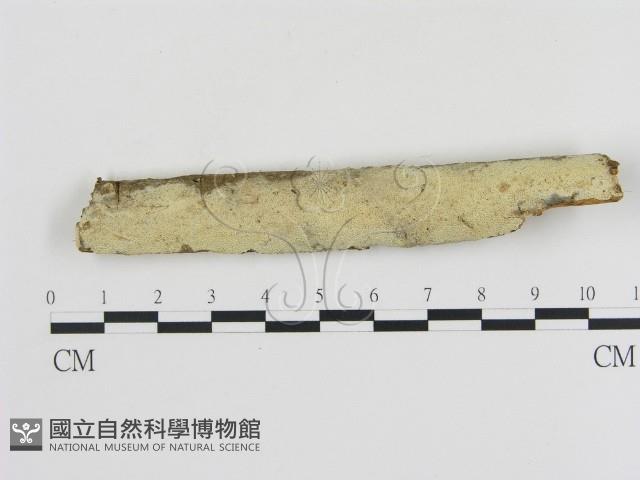 登錄號:F0009063藏品圖，第1張