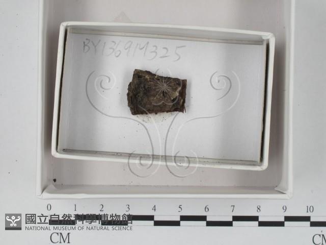 登錄號:F0018363藏品圖，第1張