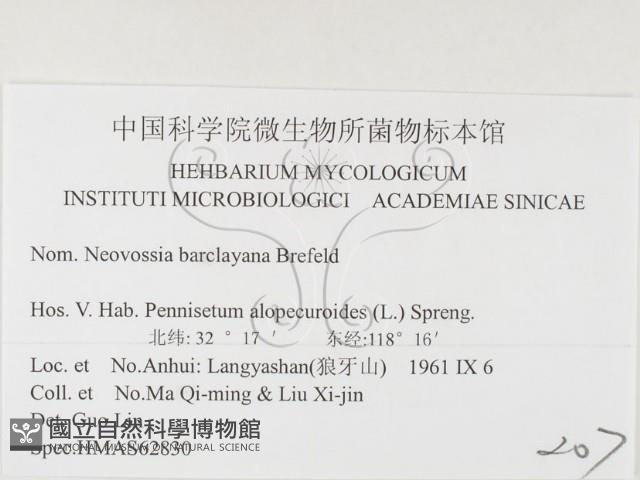 登錄號:F0026363藏品圖，第3張