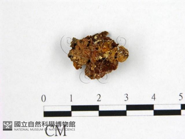 登錄號:F0011363藏品圖，第1張