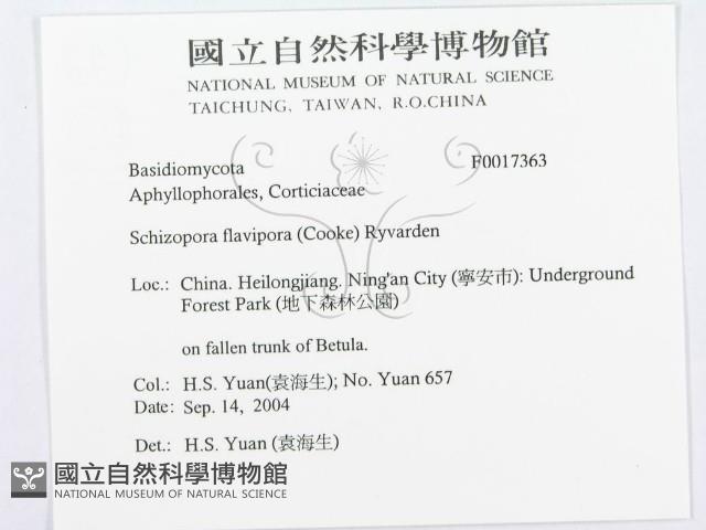 登錄號:F0017363藏品圖，第3張