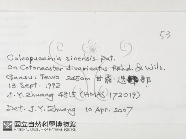登錄號:F0026223藏品圖，第3張
