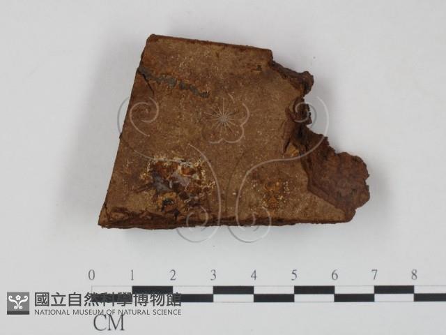 登錄號:F0006223藏品圖，第1張