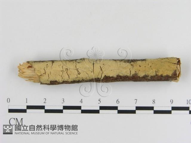 登錄號:F0001223藏品圖，第1張