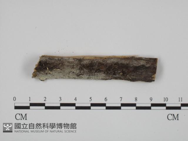 館號:F0004223藏品圖，第1張