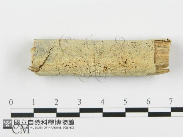 登錄號:F0012223藏品圖，第1張