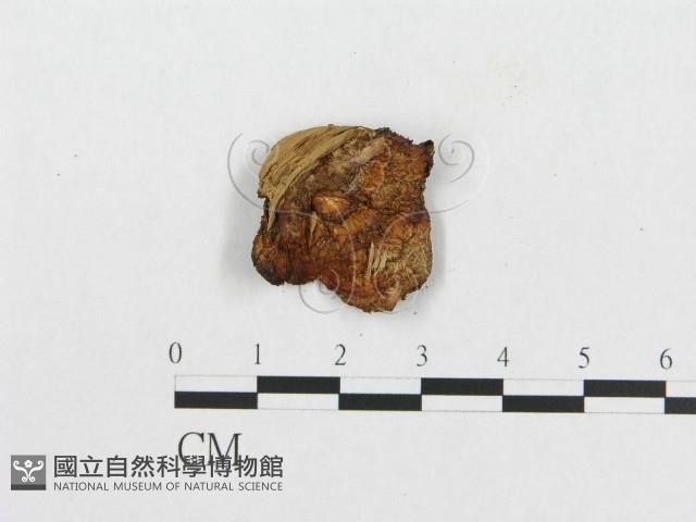 登錄號:F0007223藏品圖，第1張