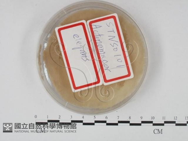 登錄號:F0015223藏品圖，第1張